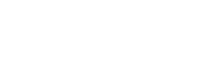 Hayli Alyce Design & Photography